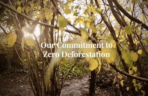 Our Commitment to Zero Deforestation