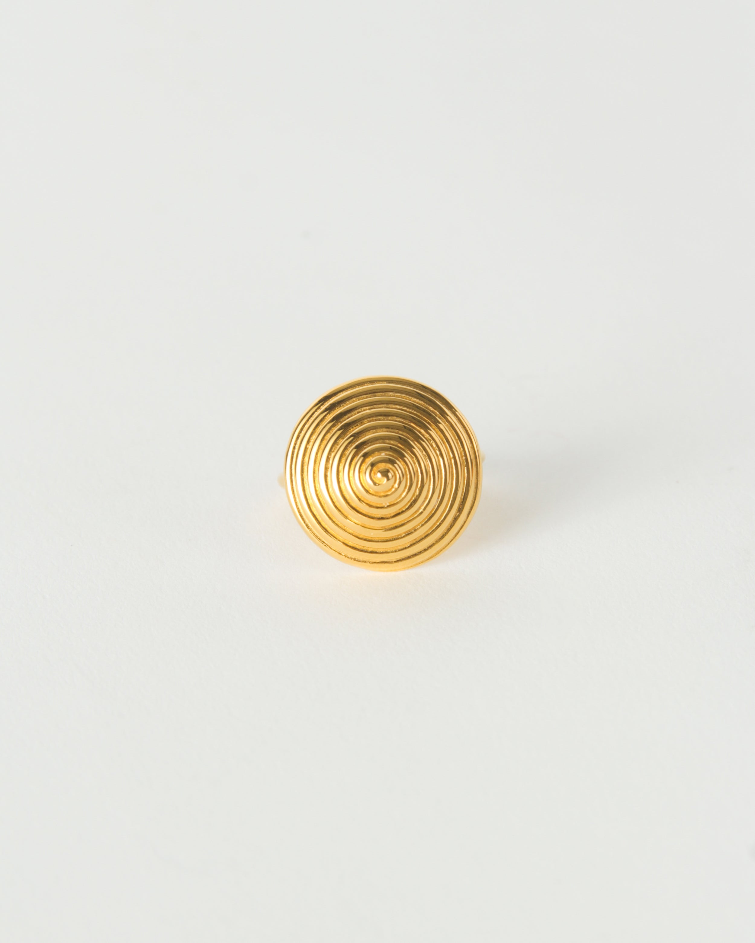 Spin Ring Gold Vermeil – REJINA PYO