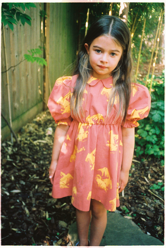 Nora Dress Organic Cotton Print Mountain Orange