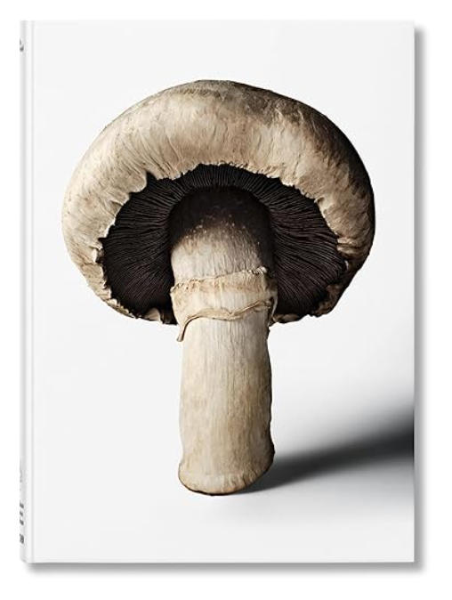 The Gourmand Mushroom